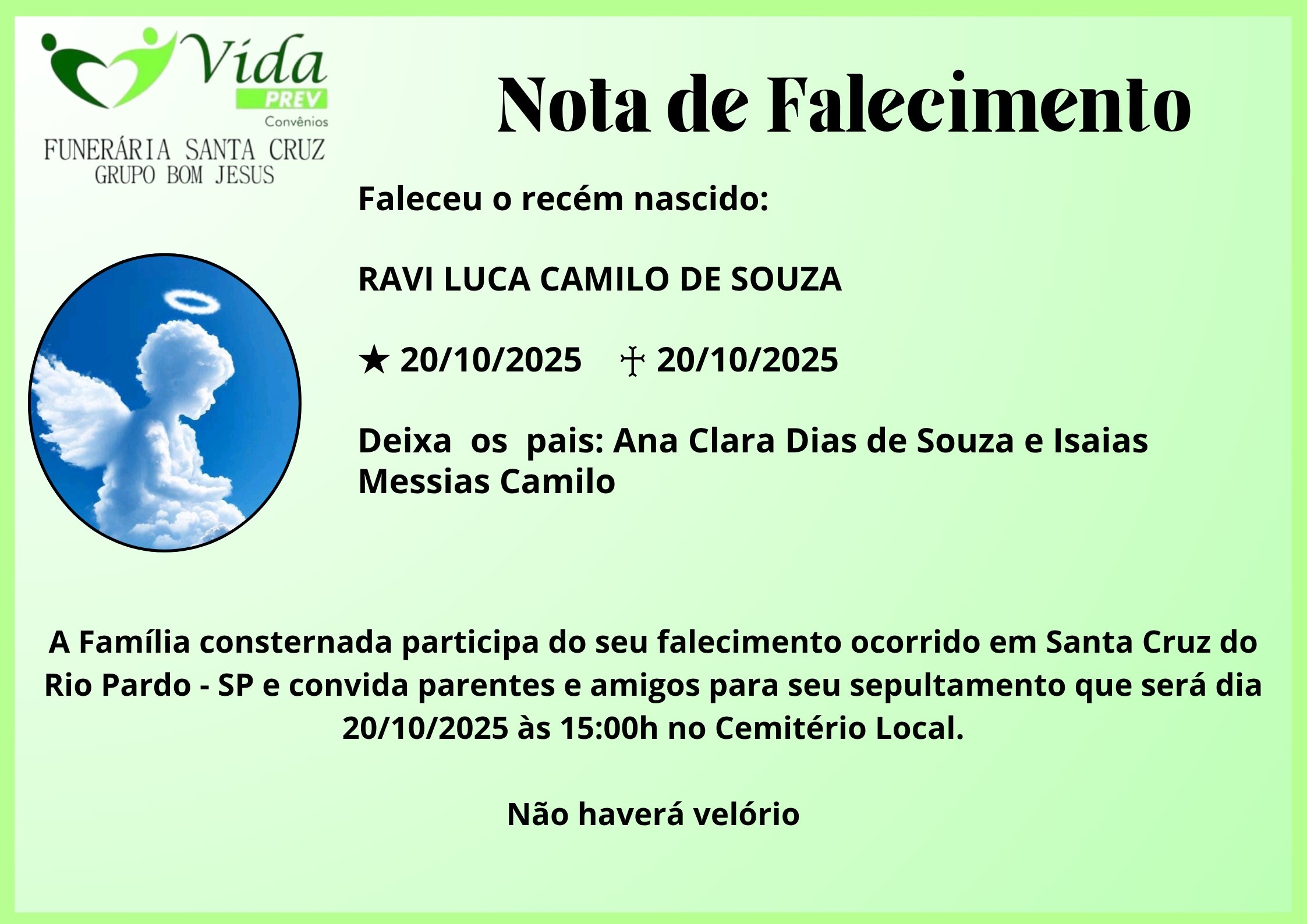 RAVI LUCA CAMILO DE SOUZA